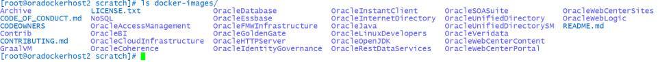 Real Application Clusters 6