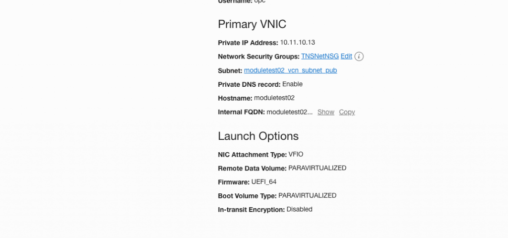 primary VNIC